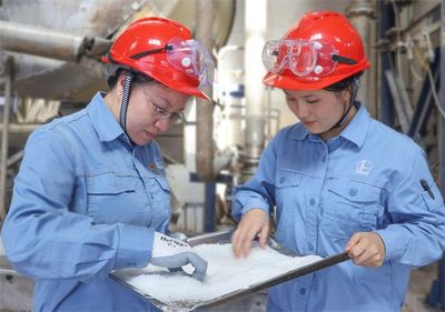 中国石化精细化工产品专列启程欧洲，新材料研发驱动全球市场新机遇