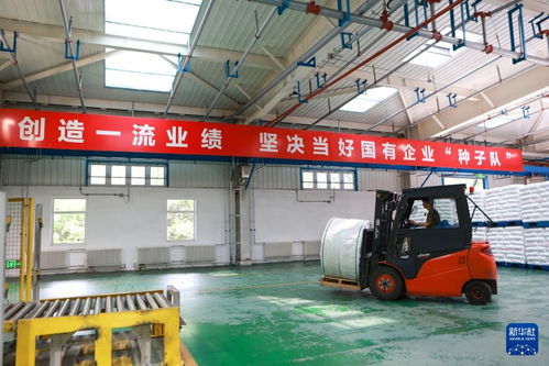 新华全媒 新时代中国调研行之看区域·东北篇 | 东北石化产业“减油增化”再造产业新动能聚焦化工产品转型